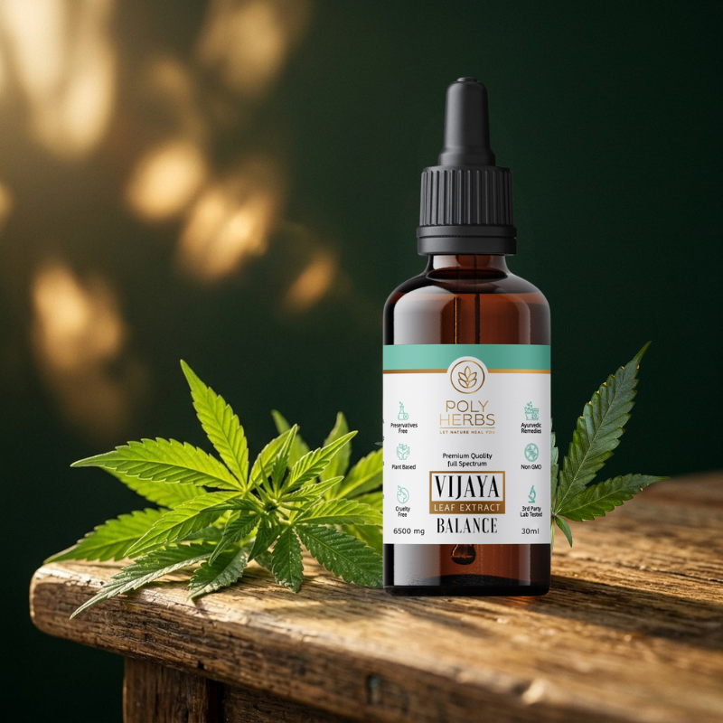 5 Ways CBD Oil Supports Your Daily Wellness Routine
