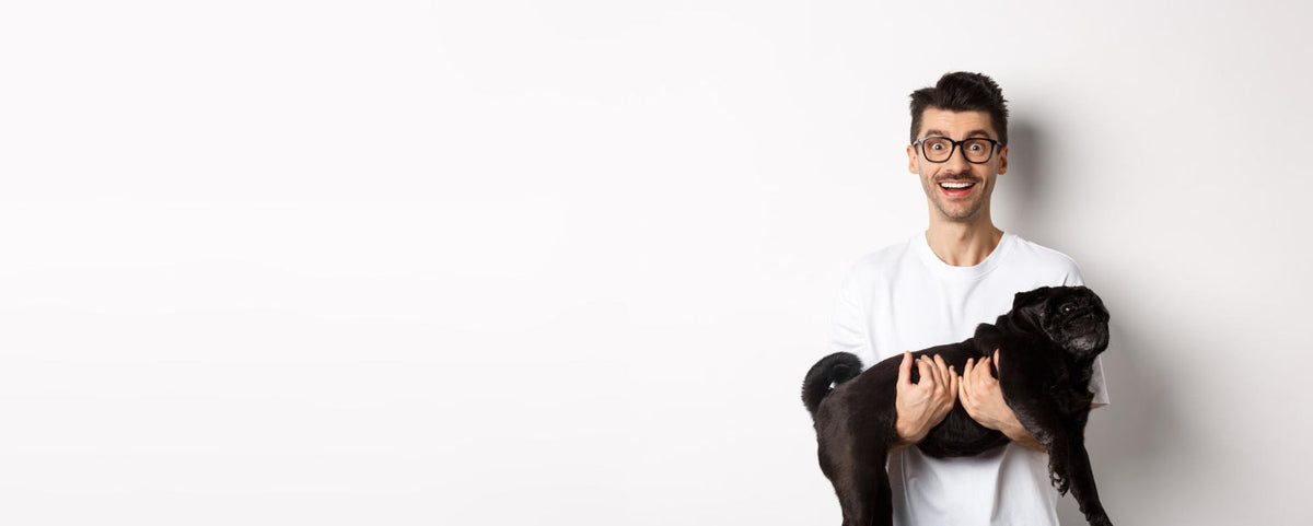 Pet Wellness & Anxiety