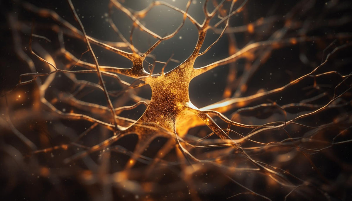 Neurological & Critical Care