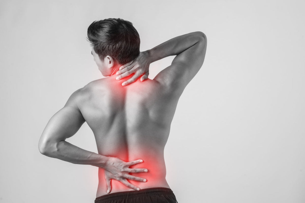 Pain & Inflammation