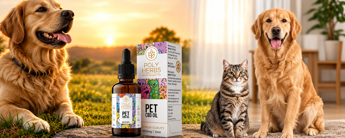 Pet